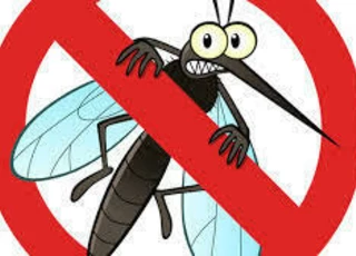 Szúnyogok elleni védekezés!